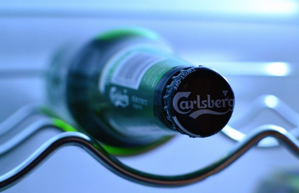Carlsberg udbytte 2022